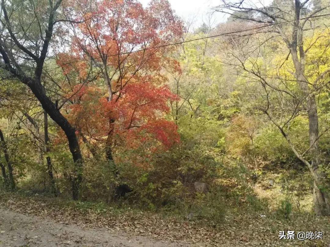 大连庄河矿山评估,大连庄河最新消息今天