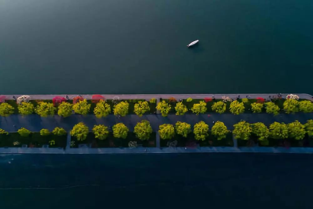 花港一楼茶楼,花港公园一元早茶