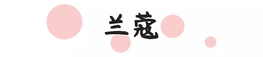 阿玛尼和兰蔻菁纯杨树林气垫,阿玛尼兰蔻菁纯气垫测评