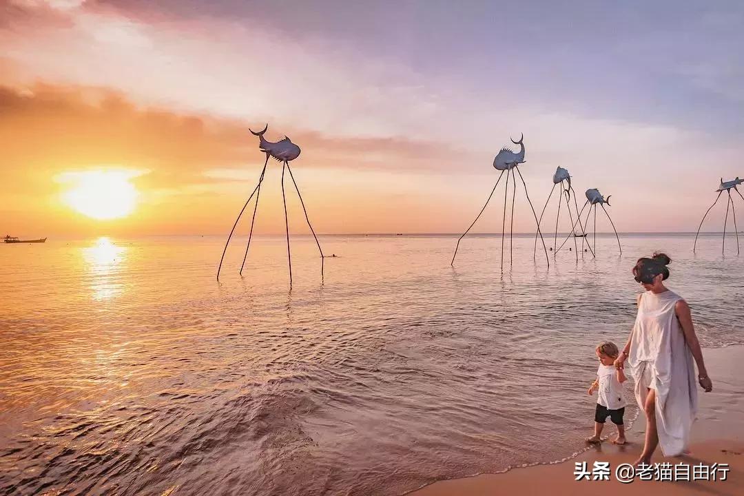 越南旅游自由行攻略详解,越南旅游攻略和自由行攻略