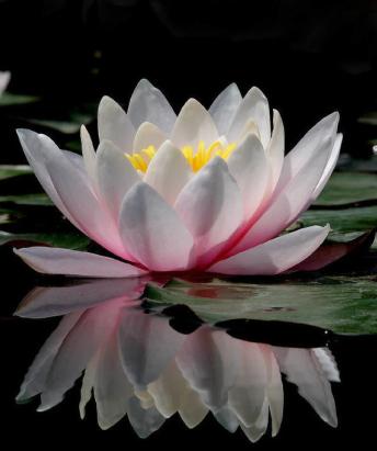 如何判断期货趋势行情,期货怎样用基差判断行情