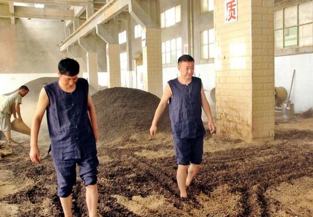 马琳被质疑陈梦4:0孙颖莎,马琳评价陈梦现状