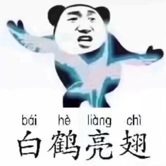 邱慧芳二十四式太极拳教程158分钟,太极二十四式太极拳视频