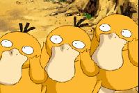 世界最罕见的十个杂交动物,不忍直视世界罕见的十大变异动物