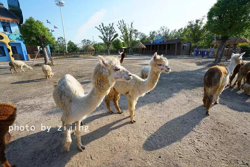 淮安清江浦运河游记,运河古都淮安一日游