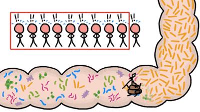 曲曼奥利司他胶囊真的能瘦吗,奥利司他胶囊真的能瘦吗