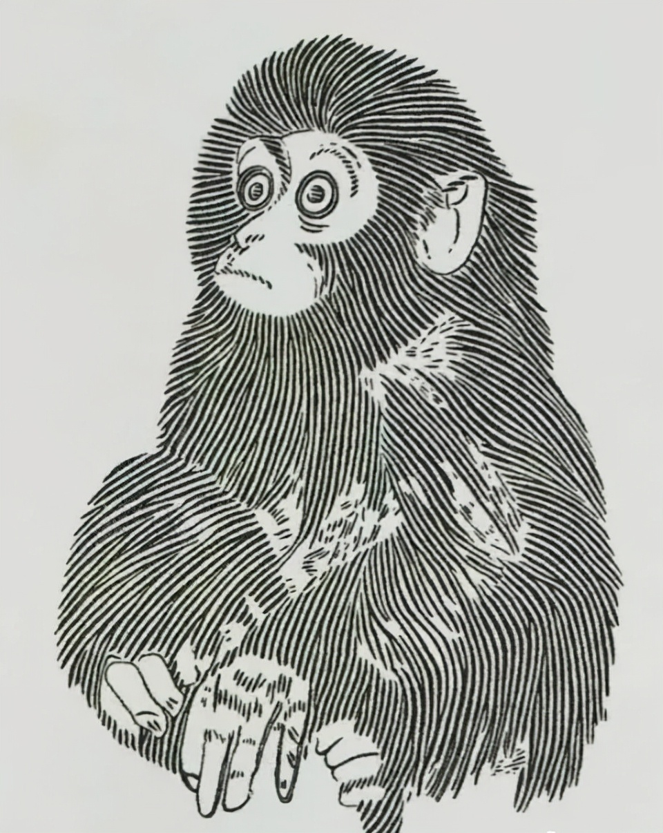 面值八分的猴票竟然价值上百万,猴票单枚最高价多少钱