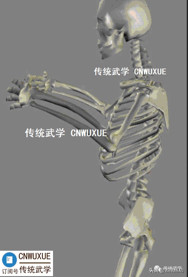 站桩要诀,站桩时身体要上下起伏吗