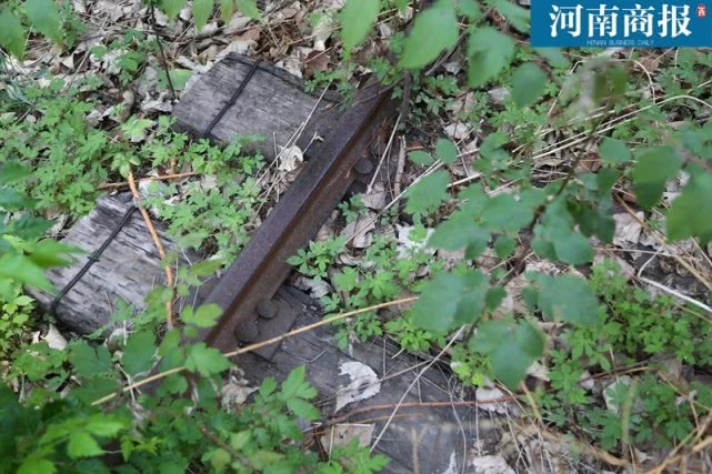 郑州世纪欢乐园游览,郑州世纪欢乐谷游乐园图片