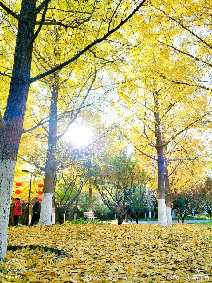 八大处公园赏秋攻略,最值得去赏秋的公园