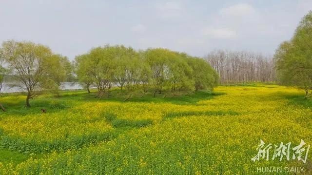 终于等到这一天!长沙酒吧、KTV、餐饮、商场,都可以去了!还有短程旅游,可以去这些地方!