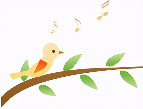 拔完牙医生开的药可以吃吗,医生拔完牙可以抽烟吗搞笑视频