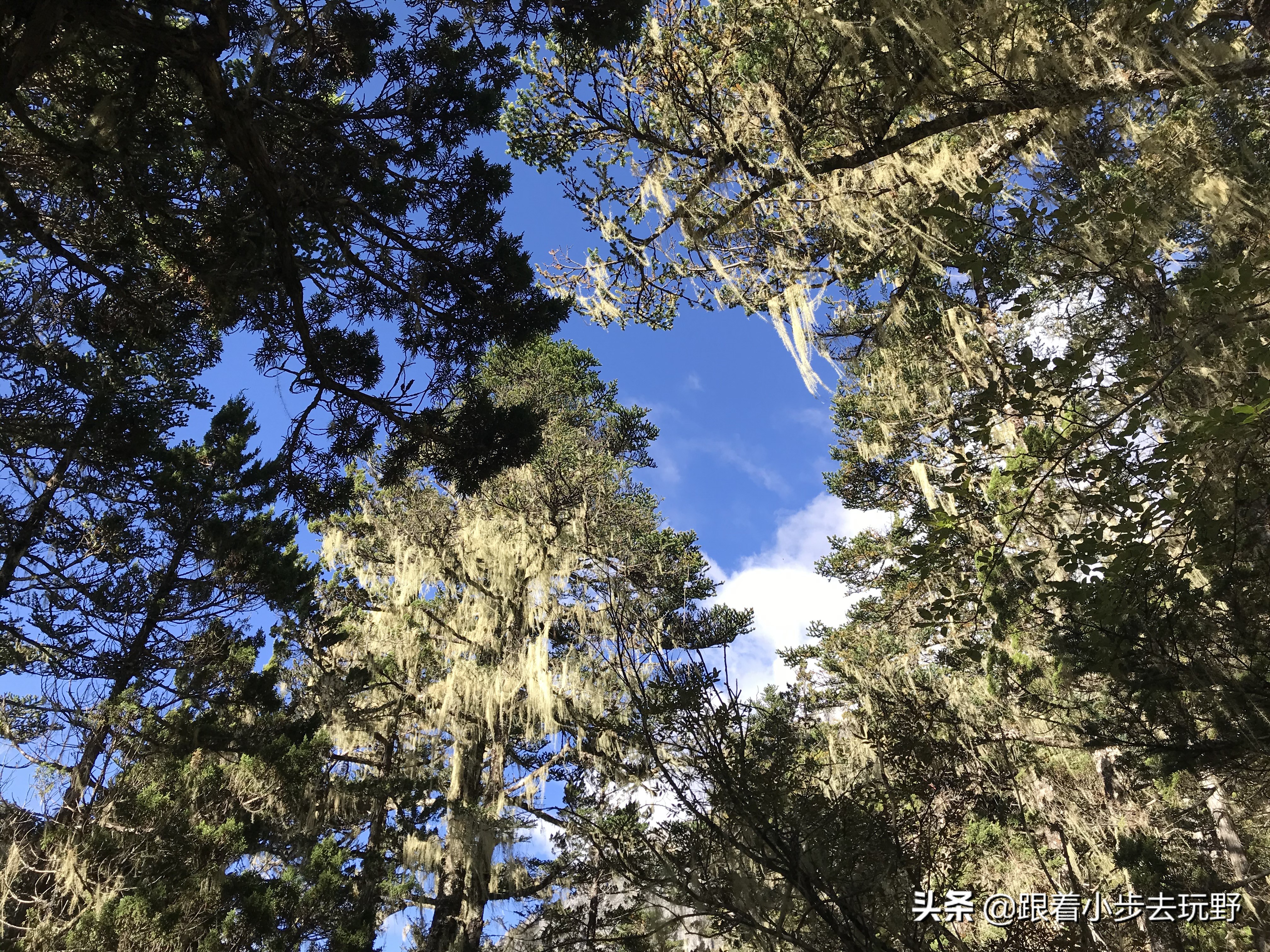 洛克线一生必走的徒步路线,川西洛克线徒步之旅