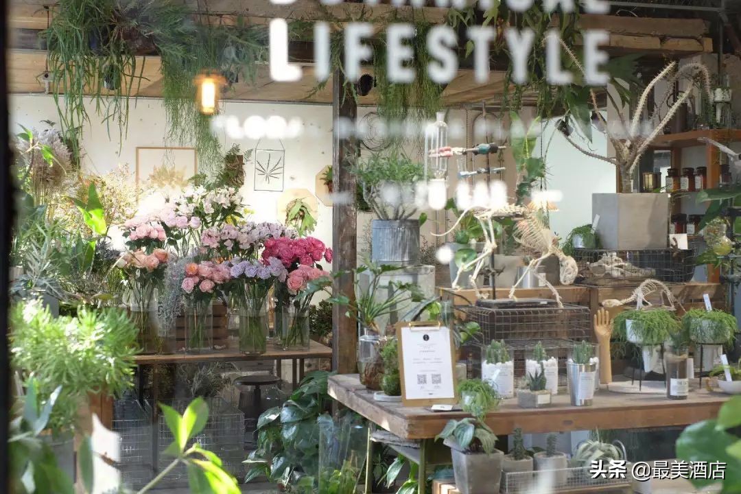 她放弃了总监职位后续,她辞去总监回家扶贫全集