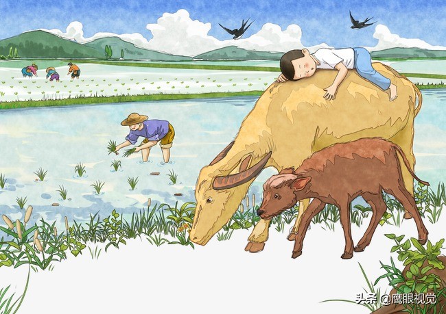 劳作之余的感受,劳作之苦亦收获作文