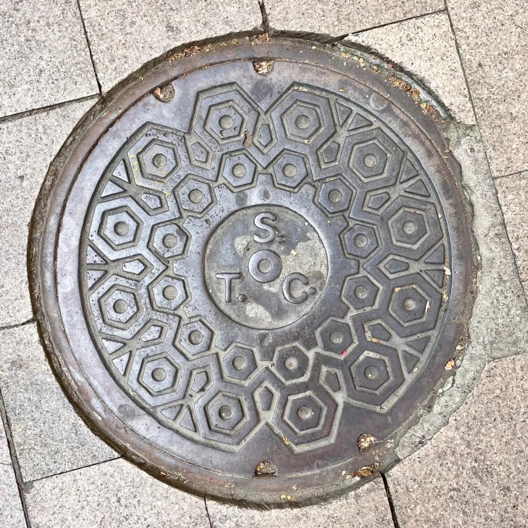 不要错过上海的春天,不要错过上海的夏天