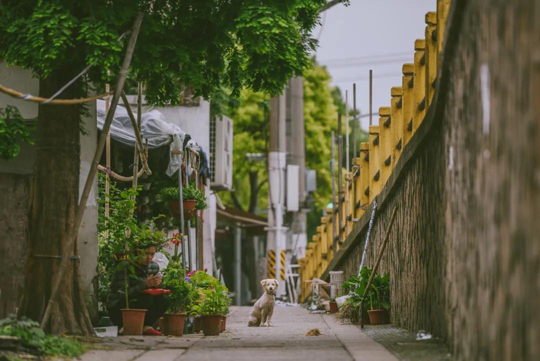 60岁前必去的中国各省区最美天堂,全国各省最美天堂你都去对了吗