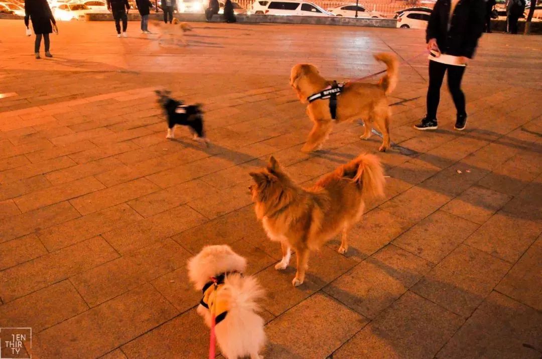 武汉徐东掉钱的巷子,武汉徐东大街小巷子现状
