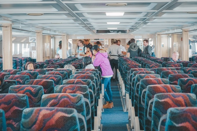 澳洲观鲸攻略,澳洲观鲸之旅