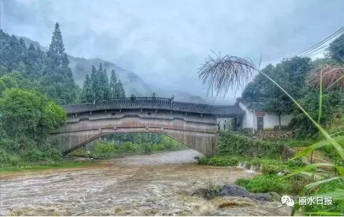 红色新丽水,红色浙西南央视