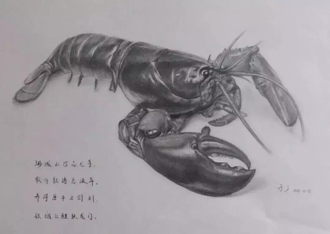 如何快速掌握零基础入门素描,零基础学素描快速入门第一课