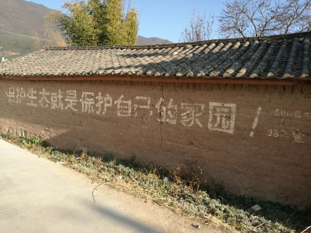 沙溪古镇真的好吗,沙溪古镇有多美