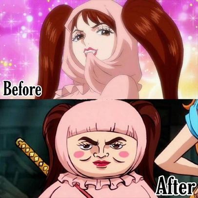 海贼王十大最鸡肋恶魔果实,海贼王吃了恶魔果实的动物