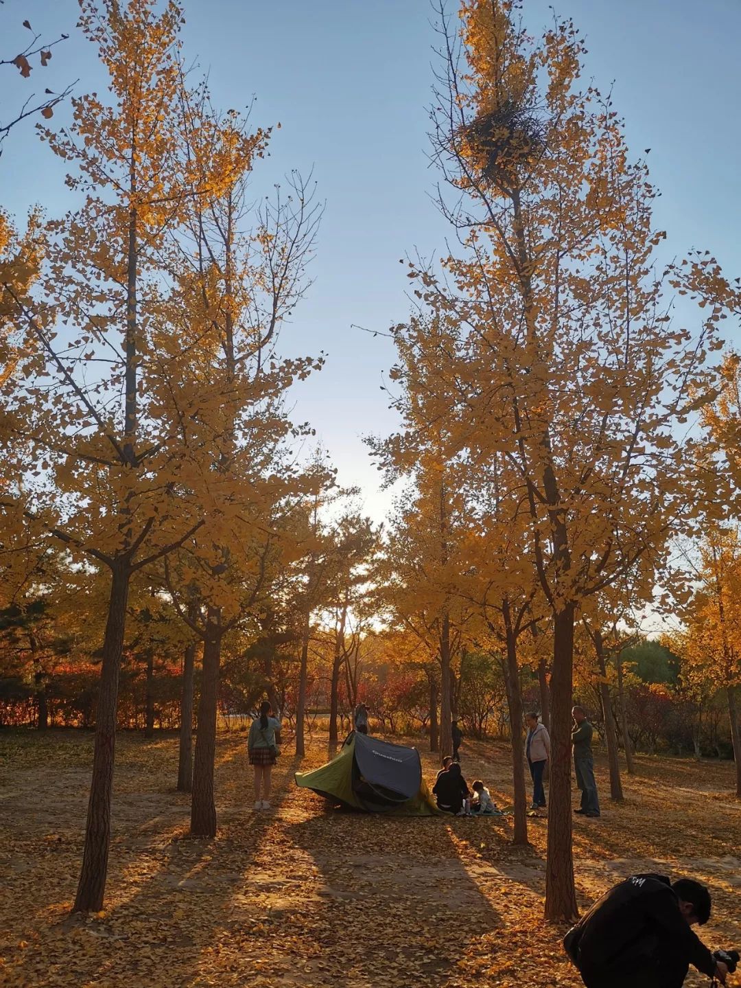 遇见香炉峰日落,2019抓住秋天的尾巴
