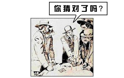 猫咪猜杯子游戏第三关,猫猜杯子游戏