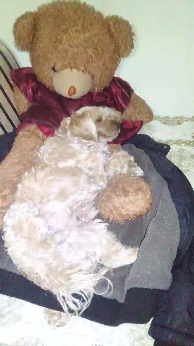 散文今夜我静静的想你,散文今夜我想你