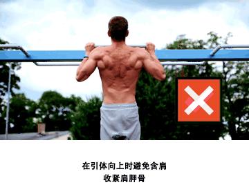 引体向上怎么从0突破到1,引体向上1个都做不了