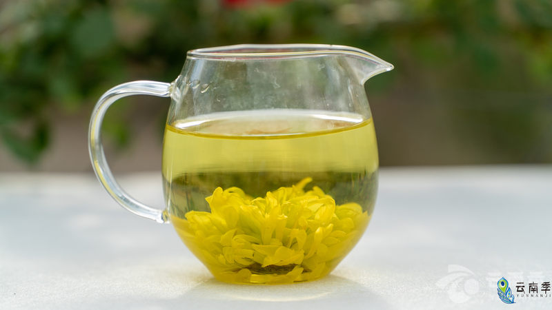 疫情宅家之宝：清热降火、舒肝明目一朵花就能泡一壶茶