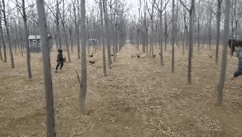 民权不能办房产证的小区,民权不让骑三轮车四轮车了吗