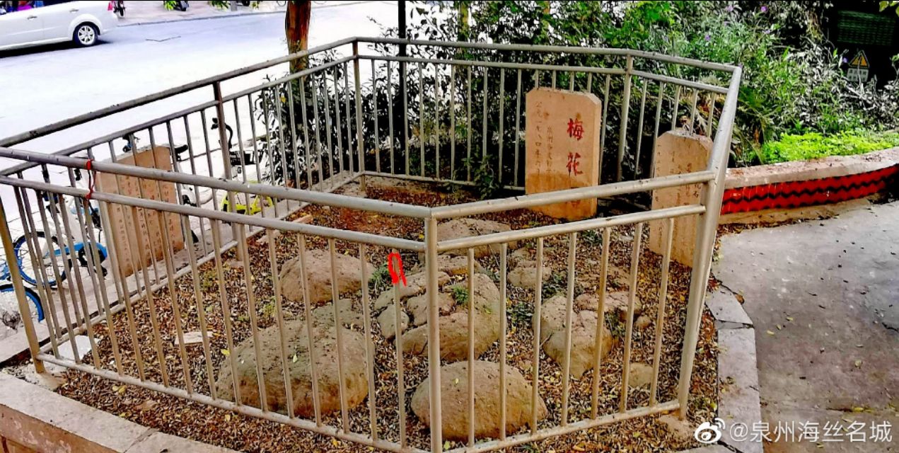 泉州高考状元庆祝,2020高考喜中状元庆祝