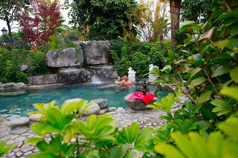 仙人街景区赏花攻略,吉尼斯打卡仙人街