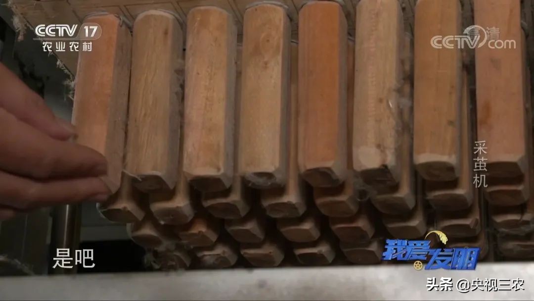 高效蚕茧脱茧机,养蚕取茧机器多少钱一台