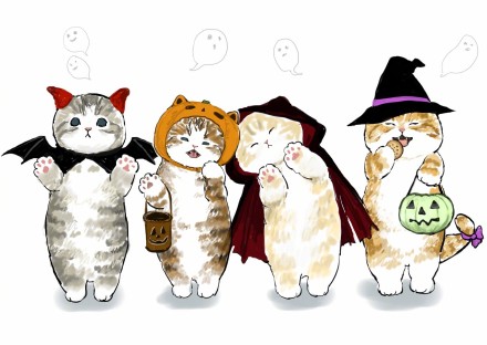 猫咪发情怎么办，教你如何处理猫咪发情