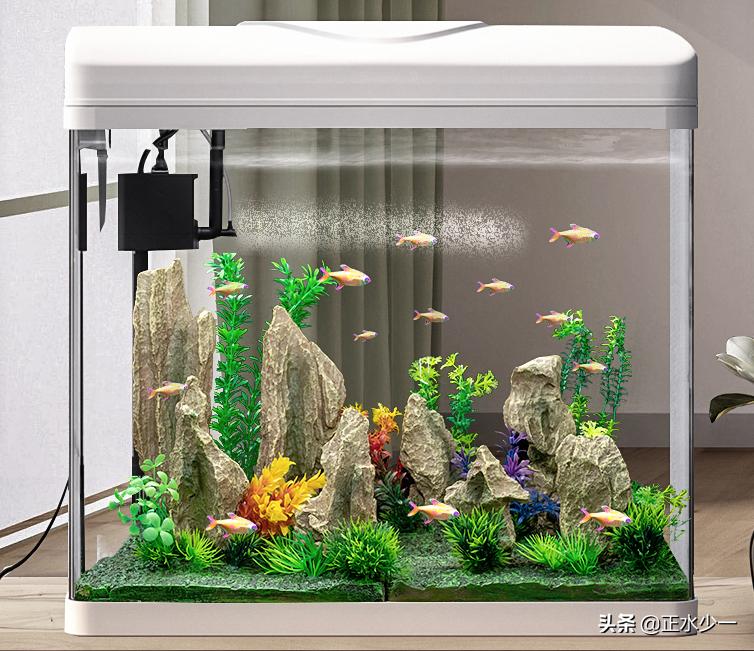 金鱼怎么养用超小鱼缸,养金鱼不要乱折腾