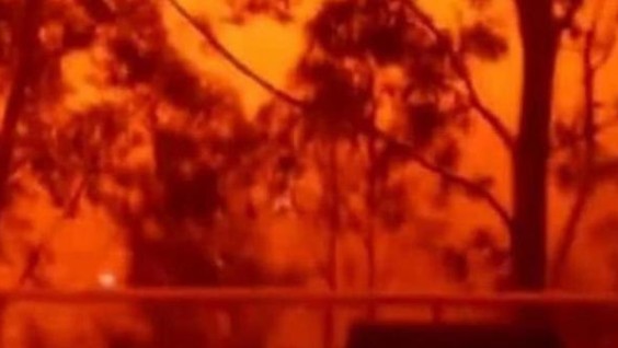 血雨是什么现象,血雨之谜血雨到底有多可怕