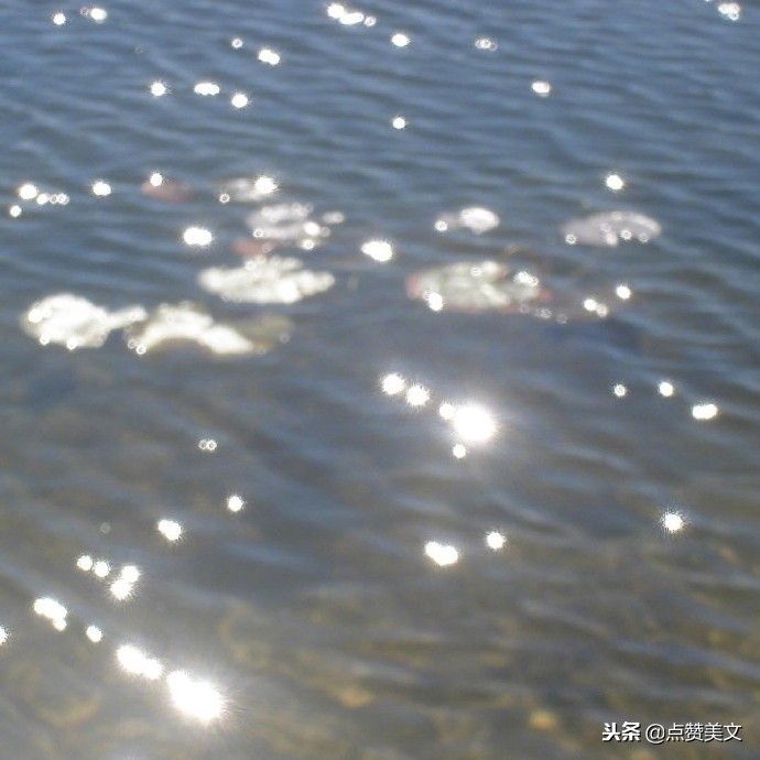 发朋友圈的十句情感语录说说短句,适合发朋友圈的感情句子句句戳心