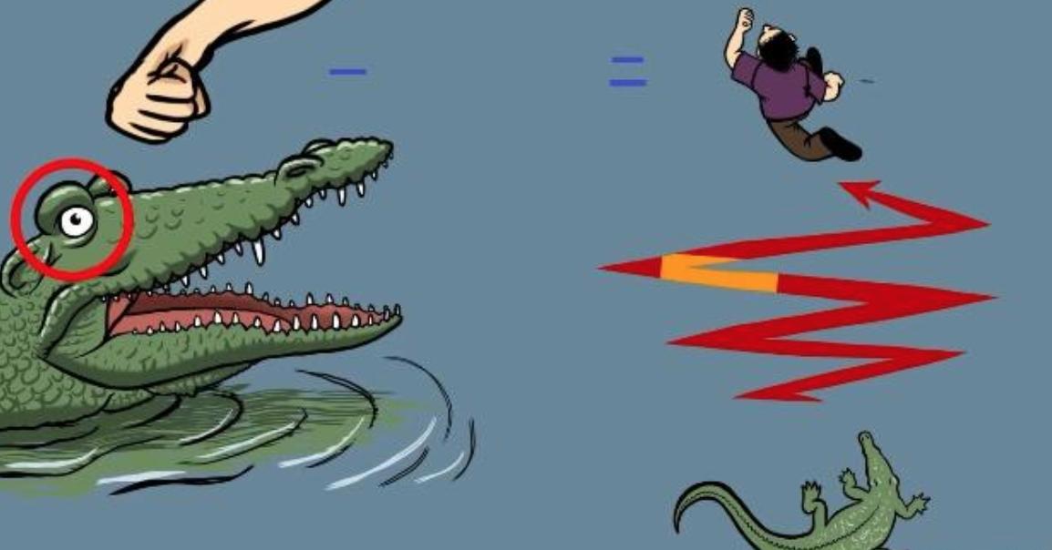 动物遇到危险会怎么做,野外遇到危险动物怎么办