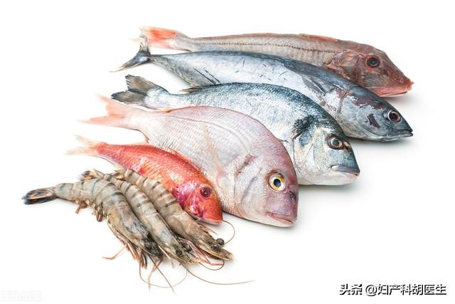 三文鱼可以补充dha吗,三文鱼dha孕妇怎么吃