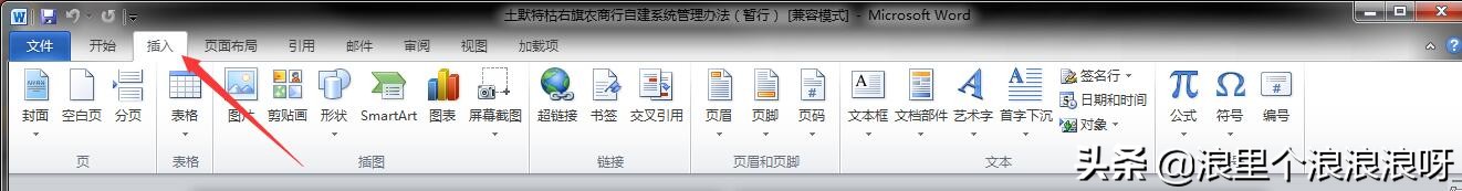 word文档横向侧边插入页码,word文档插入不了页码怎么回事