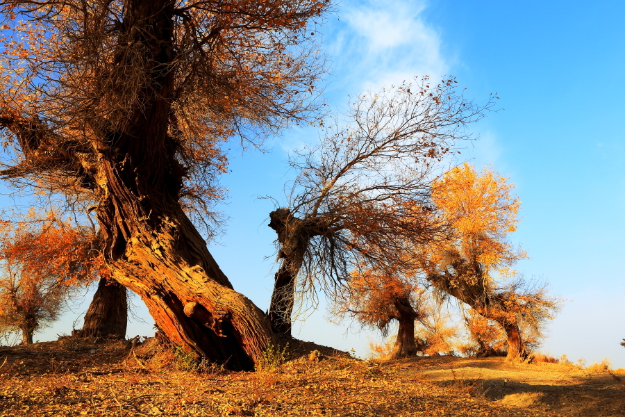 看世界图片素材库,看世界图片背景