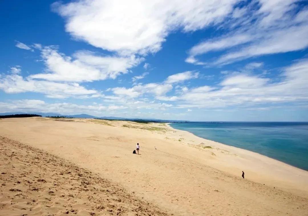 日本最宜居的城市,2020年日本最想居住城市top10