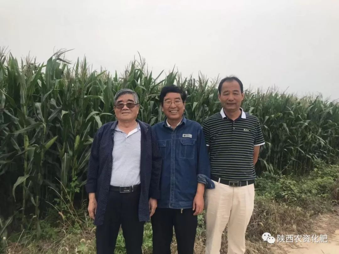 摇钱树牌控释肥助力大型农场增产增收