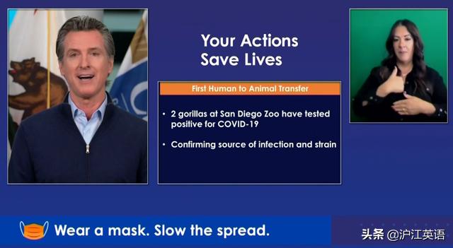 外国疫情下的大熊猫,英国大熊猫被送回中国