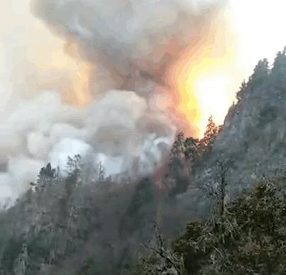 如果有来生你还会选择现在的他吗,如果有来生你还会来人间吗