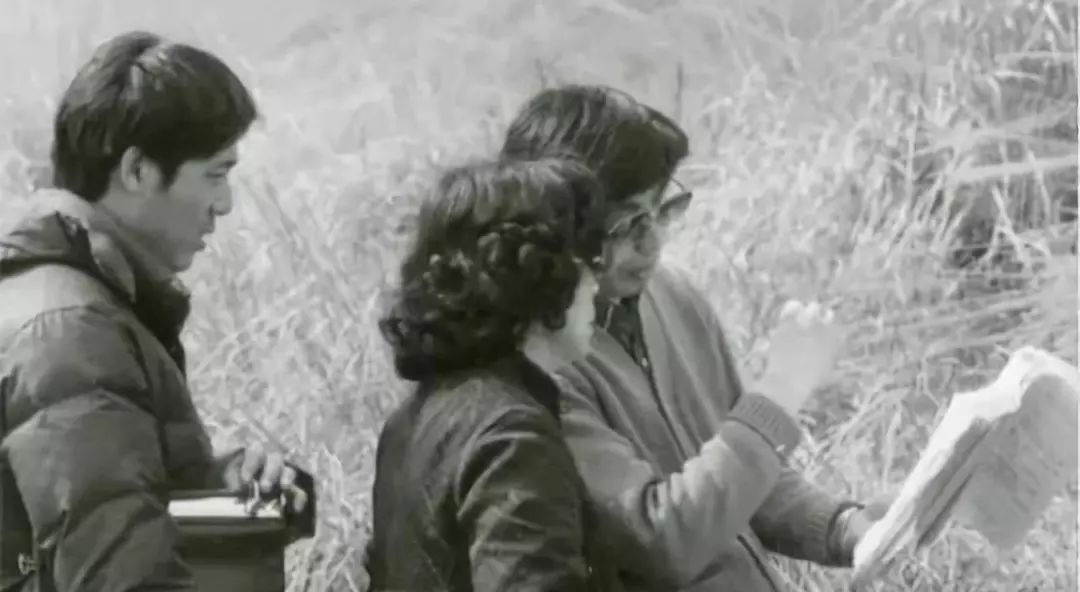 86版西游记吐槽,86版西游记大量吐槽