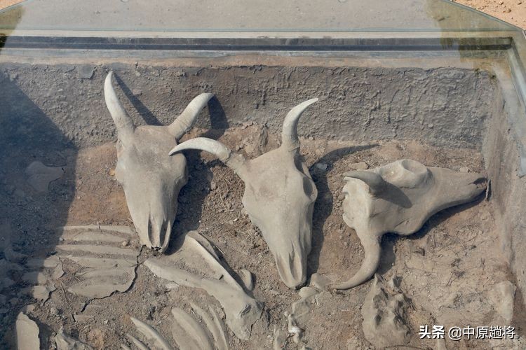 安阳殷墟遗址最著名的是什么遗址,安阳殷墟宫殿宗庙遗址讲解